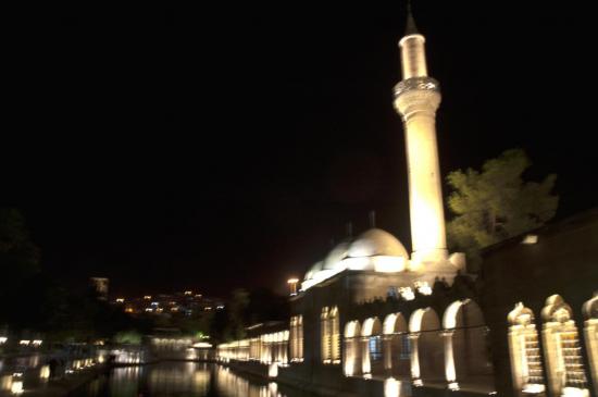 Mosquée Risvaniye Vakfi Camii et Medresesi - Sanliurfa