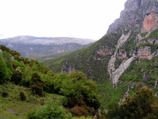 Parc National  Vikos - Grèce